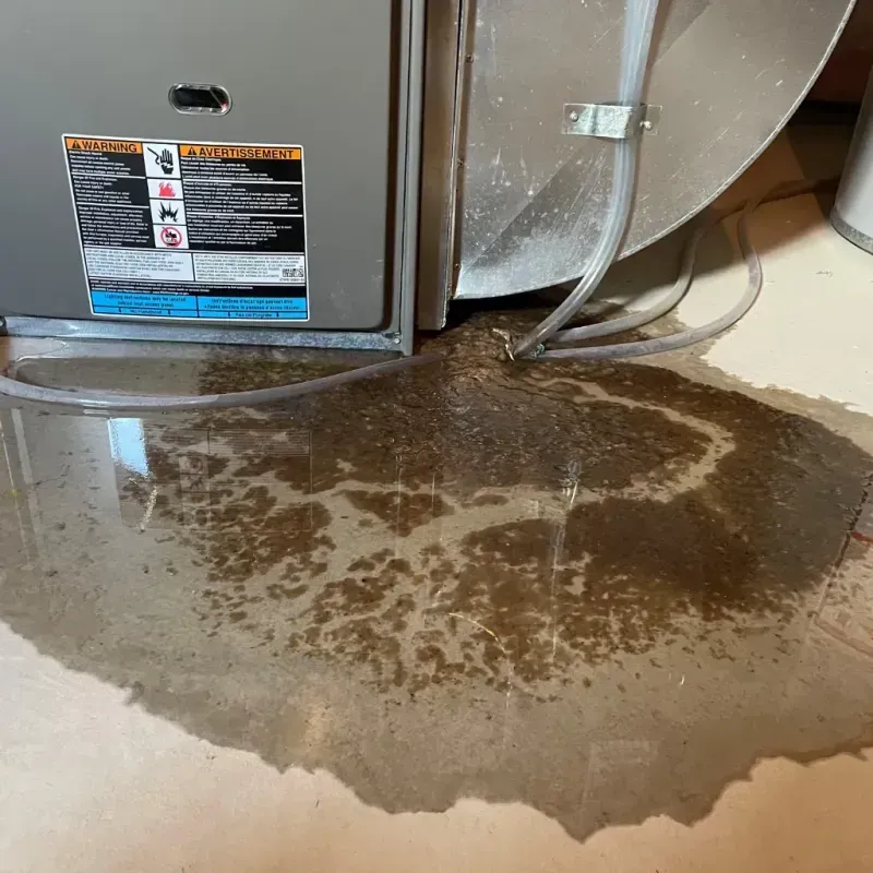 Appliance Leak Cleanup in Minnetonka, MN